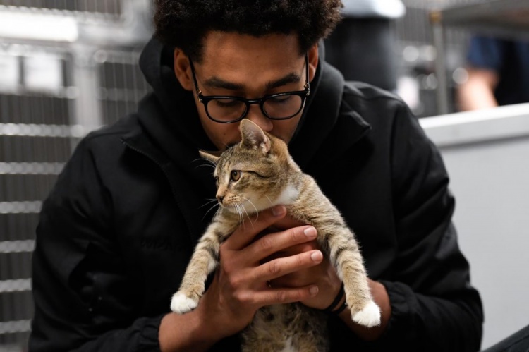 普爾：NBA裏養貓的人很多 黄瓜视频成人免费有一個秘密的圈子常私下交流